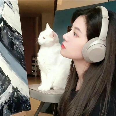 华丽的休假