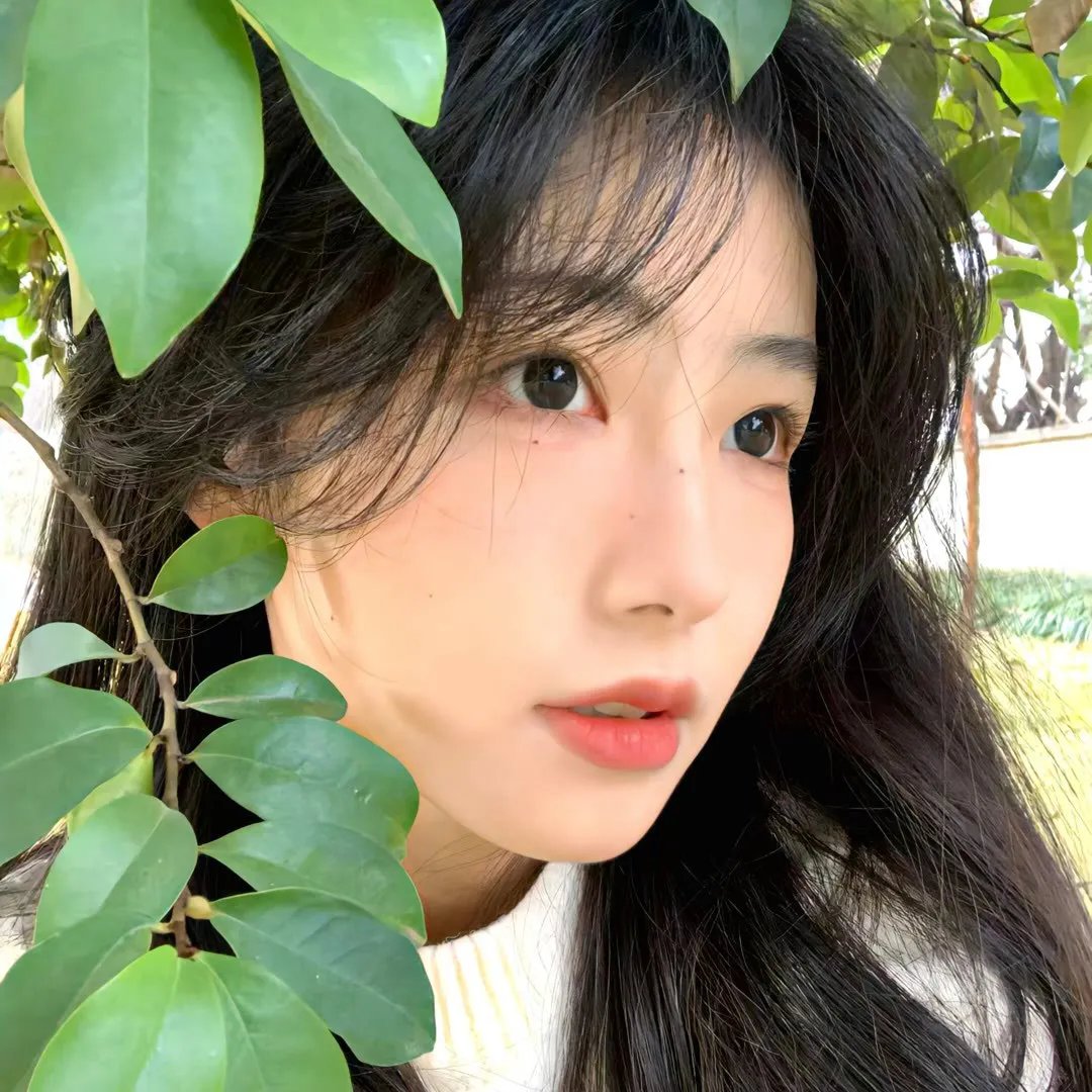 机械陪伴